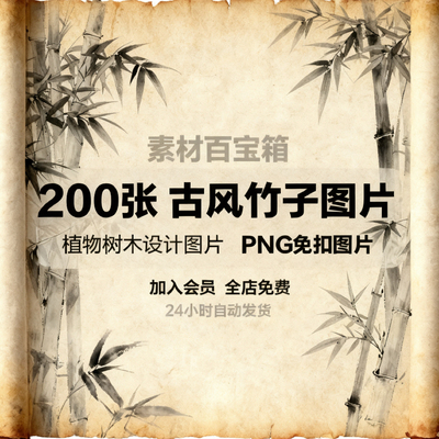 中国风水墨竹子古风竹叶竹林水彩手绘插画PNG免扣透明设计素材