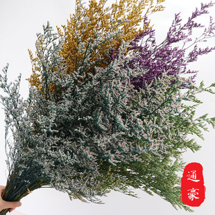 圣诞节情人节礼盒花材配材精品 永生花情人草 云南保鲜花干花花束