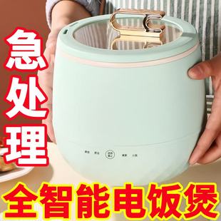 德国多功能电饭煲家用智能电饭锅蒸煮煲汤煮饭锅迷你电煮锅电饭锅