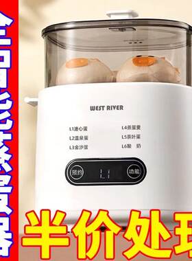 多功能蒸蛋器家用小型迷你一人自动断电可预约定时鸡蛋宿舍煮蛋器
