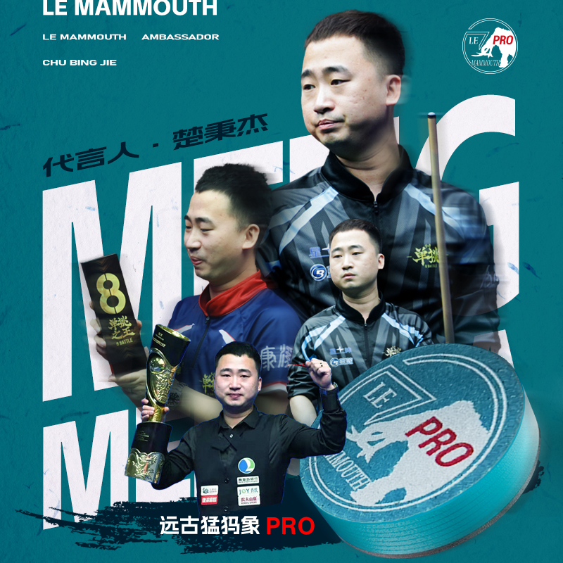 远古猛犸象pro皮头台球杆配件