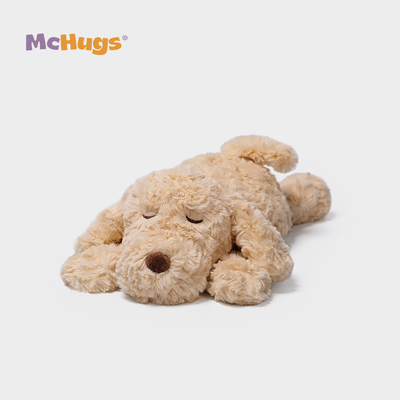 McHugs梦游拉布拉多犬