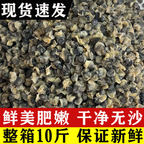 包邮田螺肉商用批发精挑无泥沙螺丝肉新鲜去壳螺狮肉野生小石螺肉