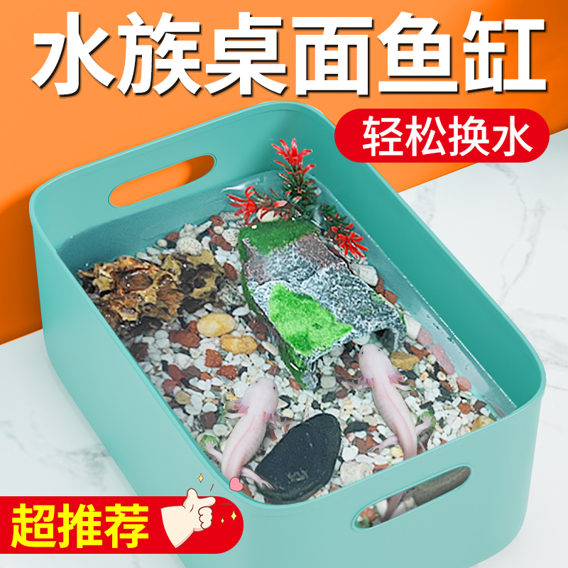 手提透气宠物饲养盒乌龟缸塑料金鱼缸六角恐龙娃娃鱼缸生态造景