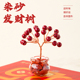 朱砂发财树新年转运本命年红色吉祥物招米乔迁礼办公室桌面小摆件