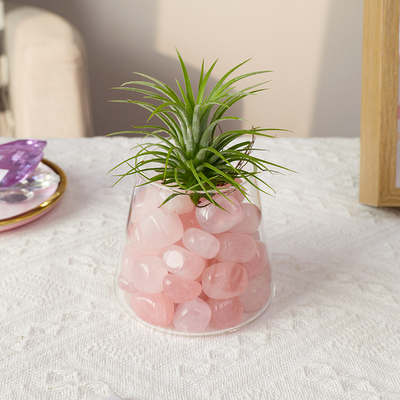 水晶空气凤梨绿植摆件