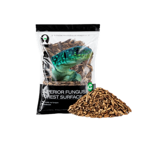 Cleen森林地表爬宠垫料守宫蜥蜴蛇角蛙陆龟垫材保湿雨林造景