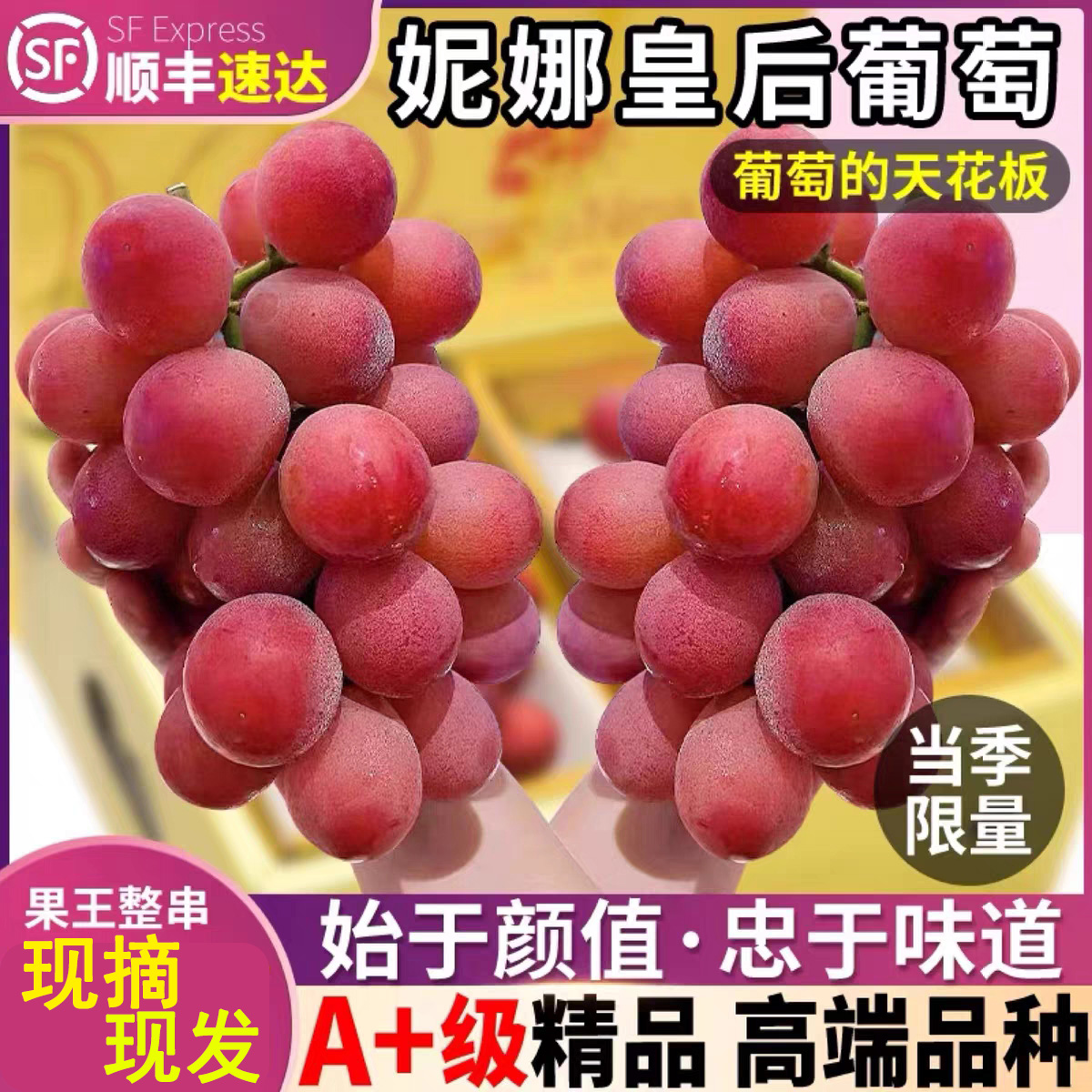 现货妮娜皇后葡萄1斤装红宝石葡萄无籽红提新鲜应季水果顺丰