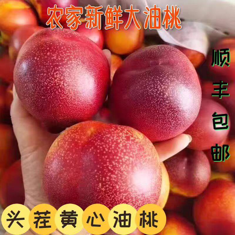 黄心油桃5斤大桃子新鲜水果应季水密桃脆可口黄肉整箱孕妇蜜脆桃