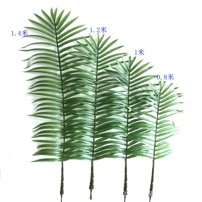 仿真椰子叶树榈科植物园尾叶博物馆盆棕栽散椰子树假葵树叶XRB--0