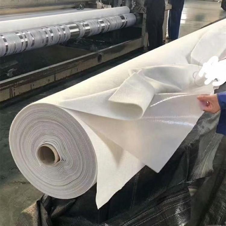 人工湖蓄水池复合土工膜 垃圾填埋场污水池两布一膜复合膜