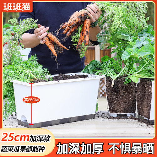 阳台种菜盆加深自吸水花盆