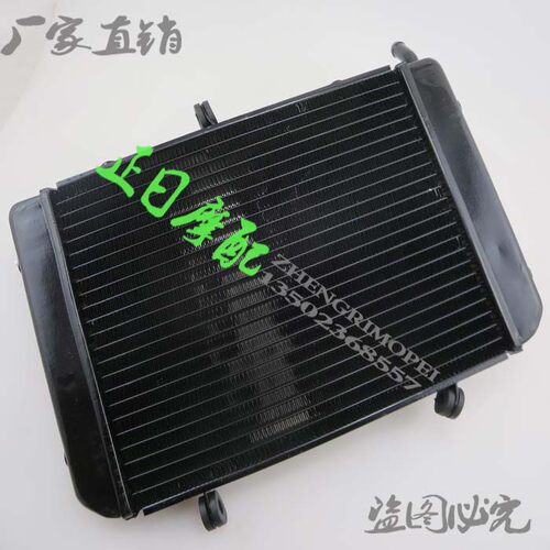 摩托车 GSeR400 600 小BK 水箱总成 B-KING 水冷器 散热器