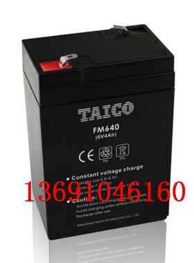TAICO蓄电池 FM640 6V4.0AH 电子秤 电动童车 童车 玩具车电瓶