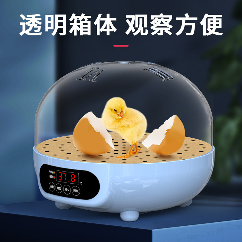 孵化箱孵蛋器芦丁鸡小鸡孵化器小型家用儿童孵化机水床鹦鹉全自动