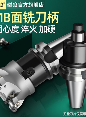 CNC数控刀盘刀柄 BT30/40/50-FMB22/27/32-60/100L/150平面铣刀柄