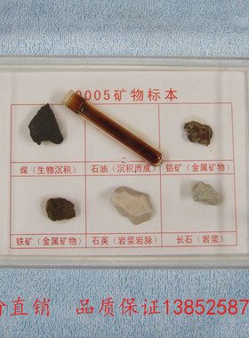 49005 矿物标本 小学科学教学仪器 教具 教学仪器