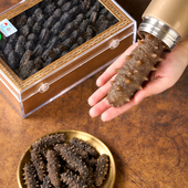 东宇野生海参烟台海参干货500g特速发干海参礼盒刺参王海参旗舰店