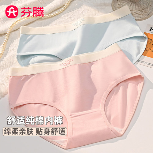 芬腾女士内裤抗菌透气