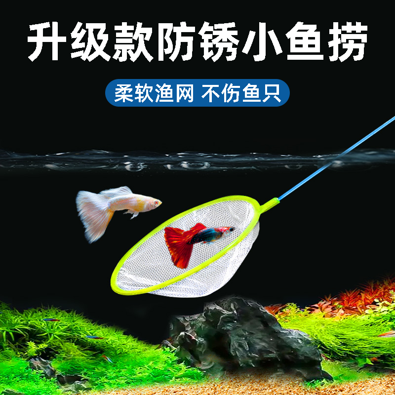 渔网捞小鱼户外鱼缸可伸缩宠物专用兜捞水族大号抄网加厚细捞鱼网