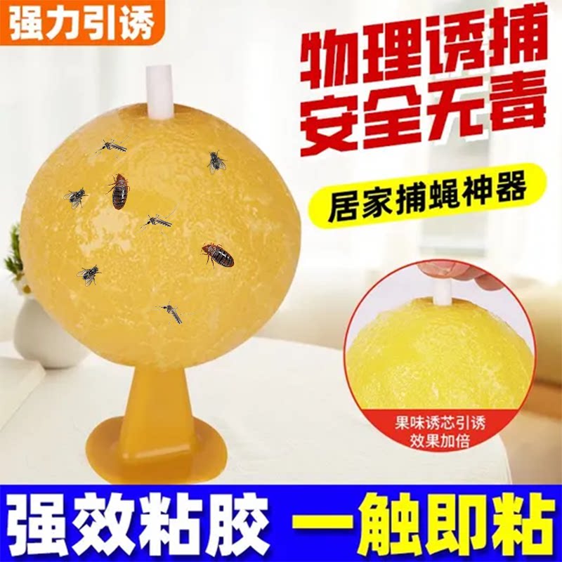 物理诱捕粘蝇纸居家捕蝇神器强力引诱安全无毒果味粘胶果蝇诱捕器