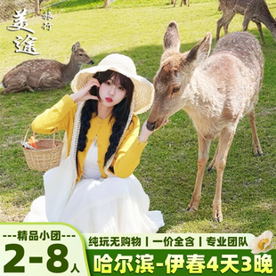 哈尔滨伊春4天3晚纯玩拼小团打卡哈尔滨俄式浪漫走进林都深呼吸