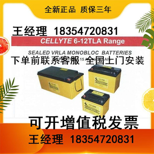 英国12TLA24阀控式 密封12V24AH消防主机应急通讯蓄电池