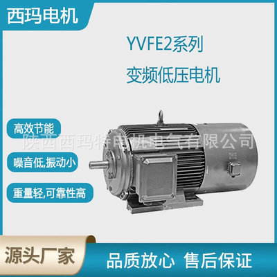 西安泰富电机YV2-100L2-4极3W低压变频交流三相异步电动机