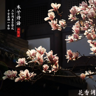 木兰诗雨 映卿香水 花香调兰花 可改名仿香柑橘女生仙气