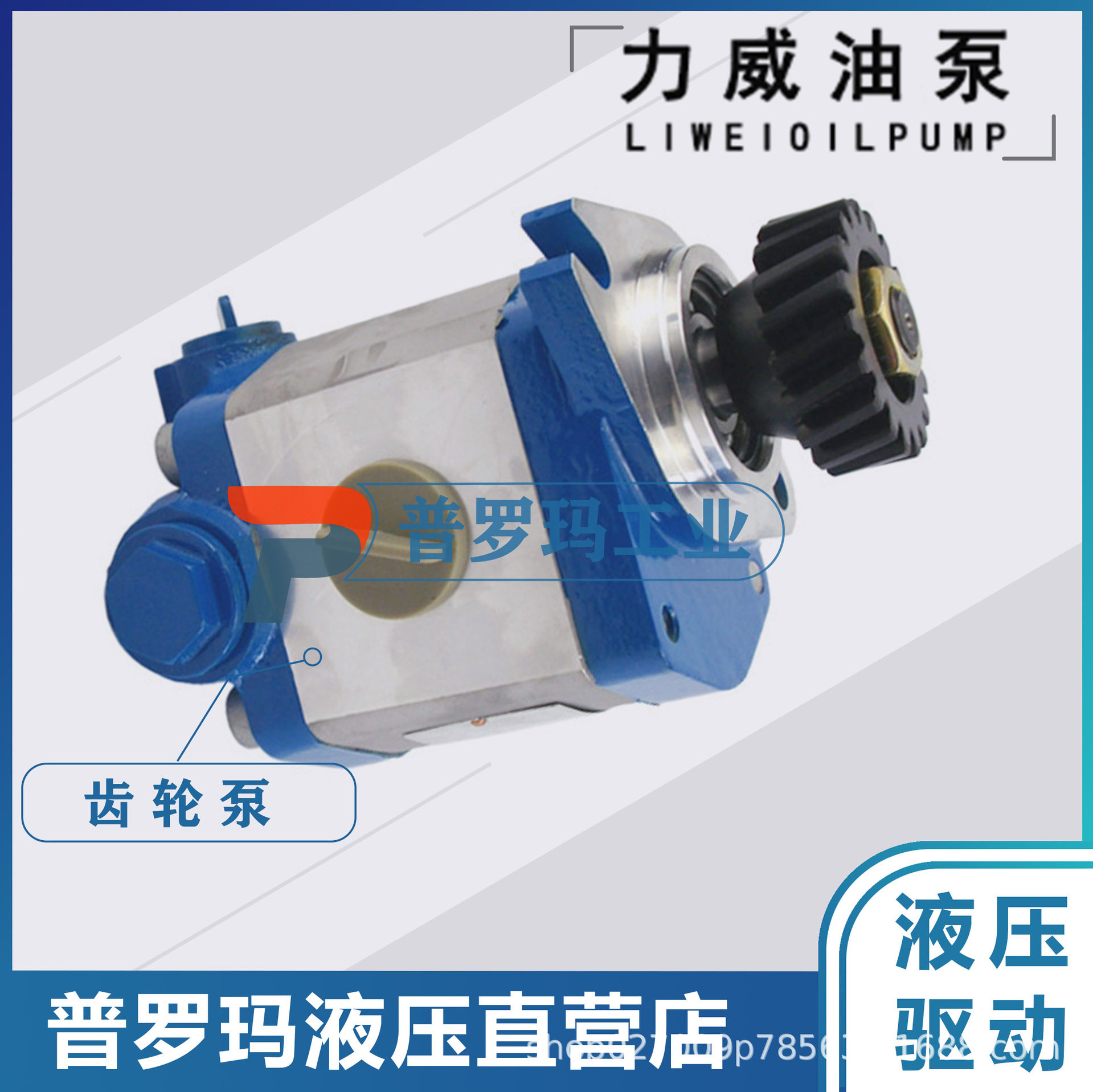 合肥力威 QC20/15-WP6J 汽车油泵 合肥天力方向动力泵转向泵图片
