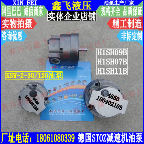 STOZ?ZB4549 100402102油泵Flender H1SH07B H1SH09B配套油泵