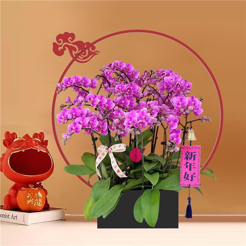 腾云新中式蝴蝶兰花盆年宵花银柳冬青插花器金属福桶客厅玄关摆件