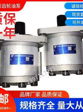 合肥长源液压齿轮油泵CBN-F550-BFP/L液压泵CB-E32-BFH/L高压油泵