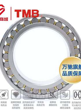TMB/天马精工NN3013K/P5W33(HS精密)精密机床双列圆柱滚子轴承