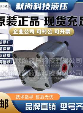 淮安长江齿轮泵PR1 / PR2-020/030/040/060/075/090/105 液压油泵