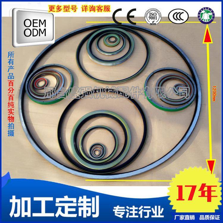 专业制造各种大型油封外骨架油封AB6226E0SBB560*620*25