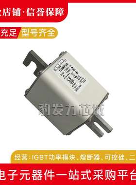 170M5145 170M5146 170M5147 170M5148 170M5149 170M5150熔断器