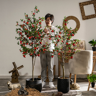 仿真石榴果树仿生假花绿植植物盆栽室内客厅落地假树造景装 饰摆件