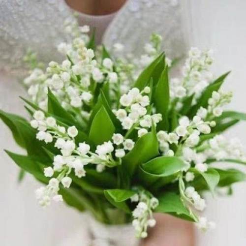 WELOVE仿真王室铃兰手捧花新娘结婚婚礼成品花束