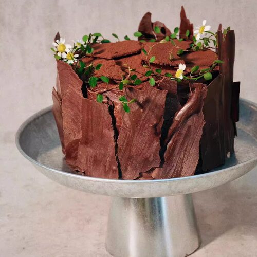 主打爆款不一样的黑森林蛋糕动物奶油生日蛋糕甄选食材匠心手作