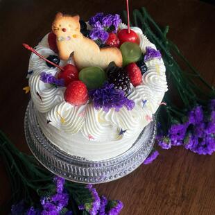 小猫咪动物奶油生日蛋糕生日礼物北京同城配送儿童乳酪蛋糕巧克力