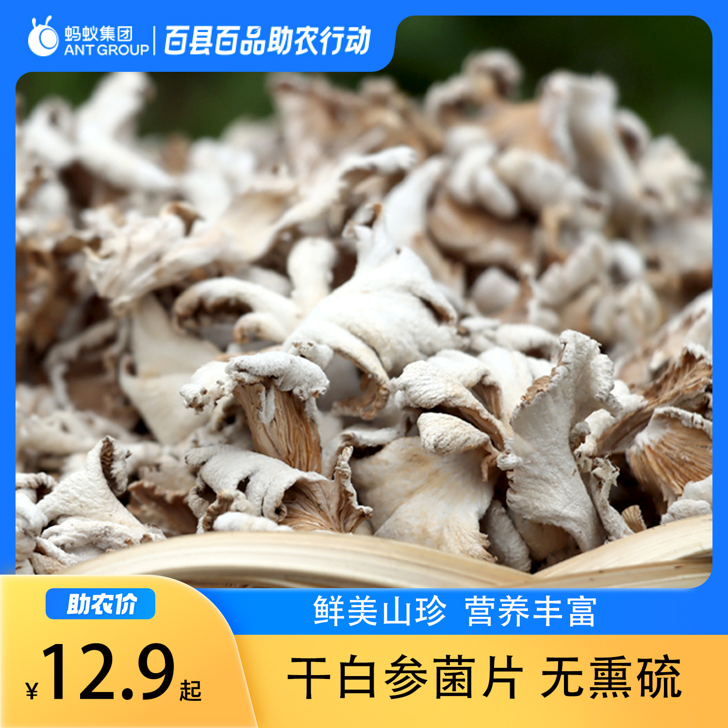 参说菇当季新货白参菌片干货裂褶菌白蘑菇有根绿色食品原产地直发,粮油调味/速食/干货/烘焙,香菇类,淘宝优惠券,粉丝福利购,淘宝优惠卷