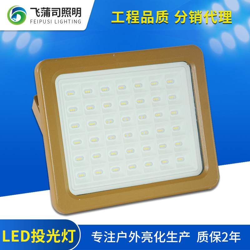 供应LED三防投光灯 100W200W加油站顶棚泛光投光灯 探照灯