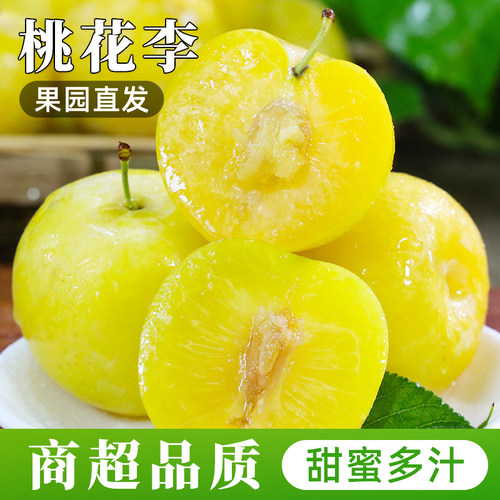 四川桃花李当季纯甜黄金李子包邮