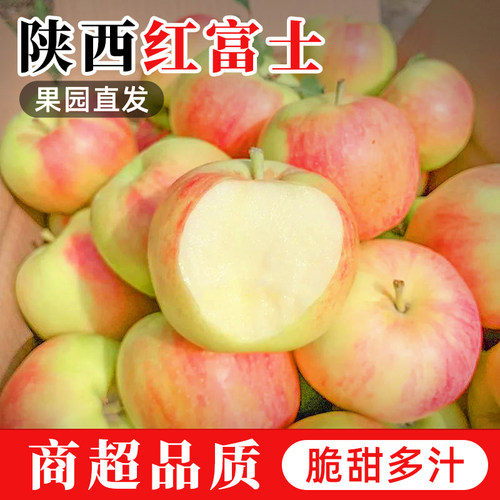 陕西红富士苹果2026头茬现摘