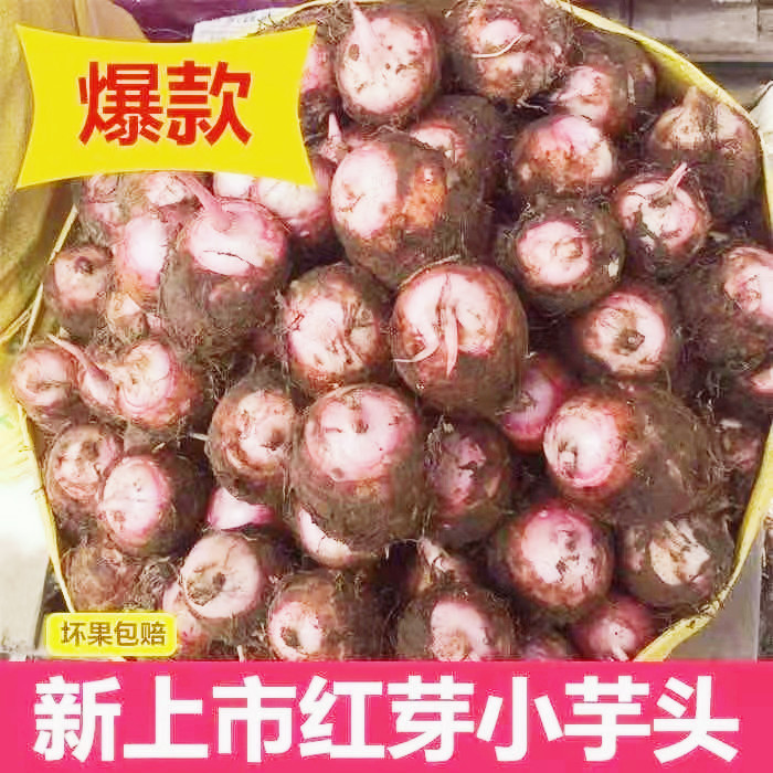 当季新鲜红芽芋5斤特产芋艿