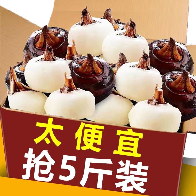 湖北特产马蹄10斤荸荠带泥