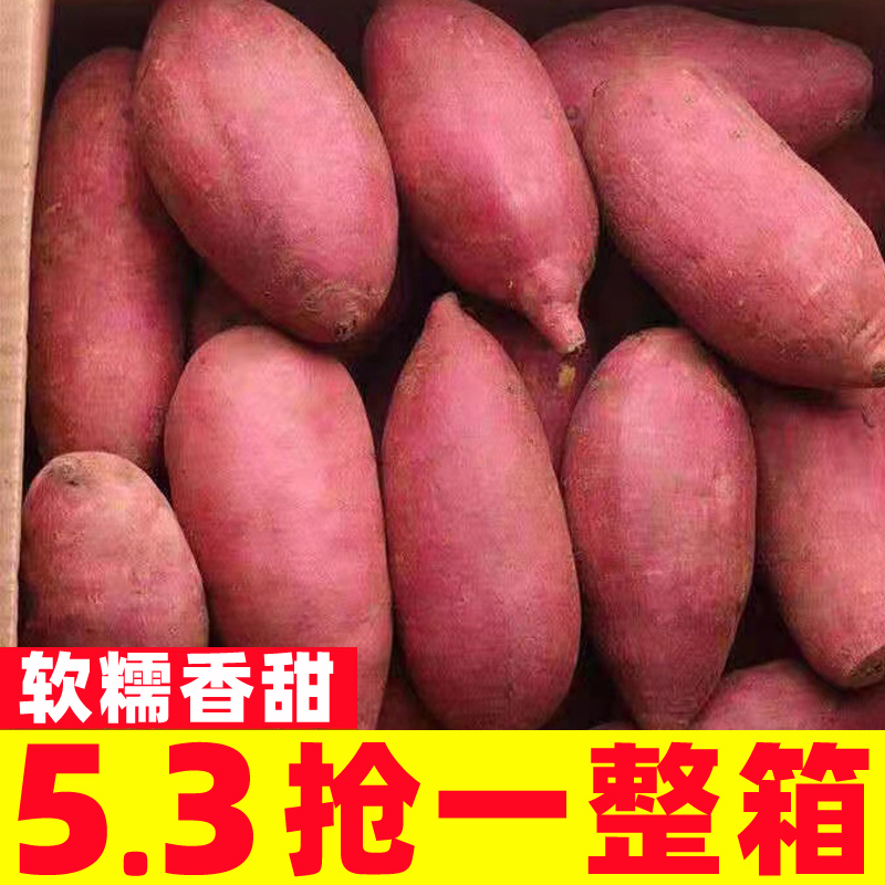 板栗蜜薯10斤新鲜红薯农家