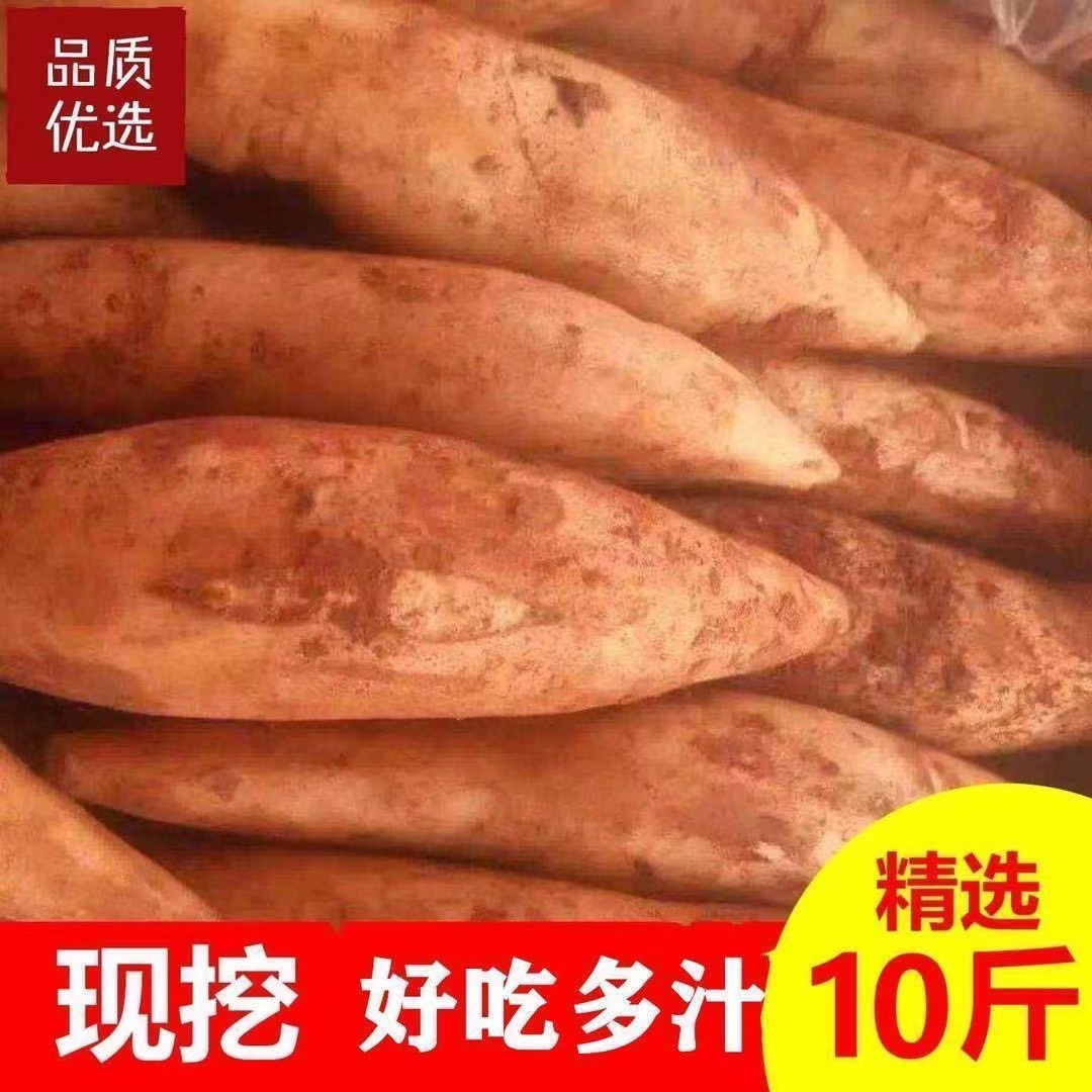 云南天山雪莲果新鲜10斤