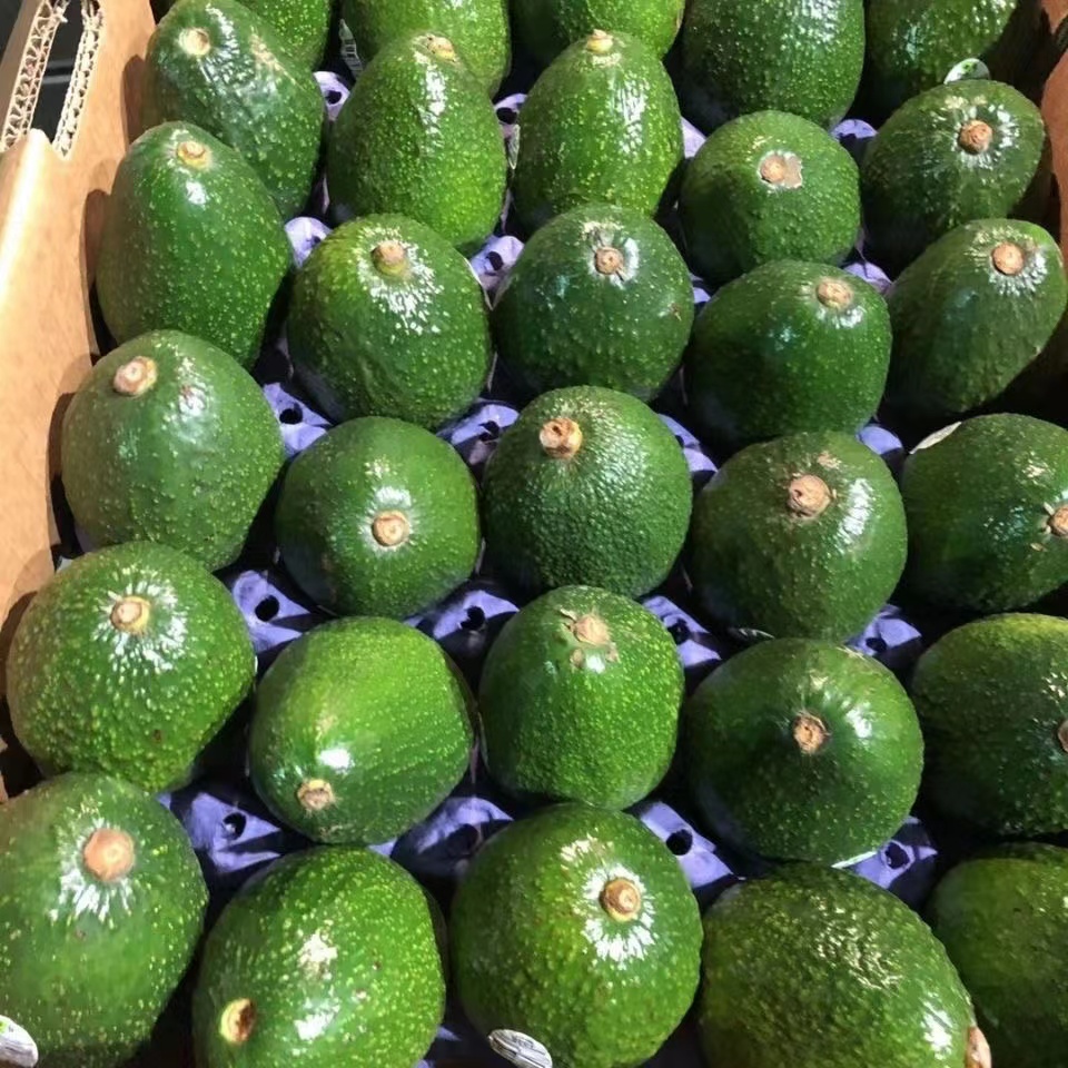 牛油果新鲜水果10个应当季宝宝辅食熟透即食鳄梨小果孕妇包邮